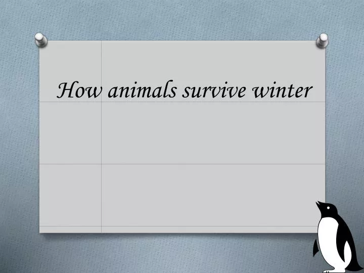 how animals survive winter