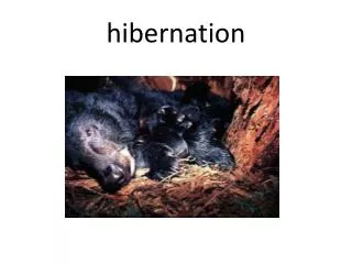 hibernation