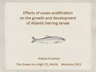 effects of ocean acidification on the growth and development of atlantic herring larvae