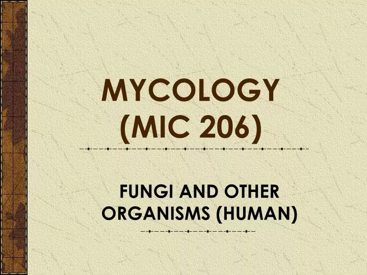 fungi and other organisms human