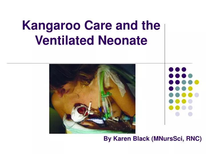 kangaroo care and the ventilated neonate