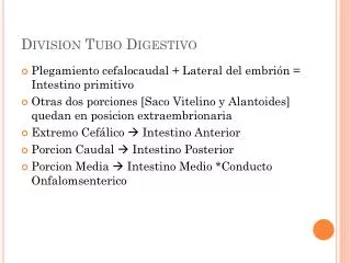 division tubo digestivo