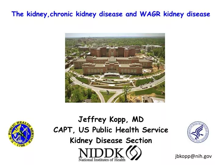 the kidney chronic kidney disease and wagr kidney disease