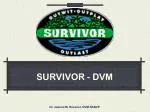 SURVIVOR - DVM - slide 1