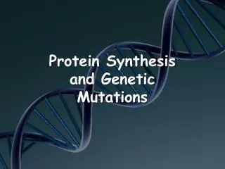 Protein Synthesis and Genetic Mutations