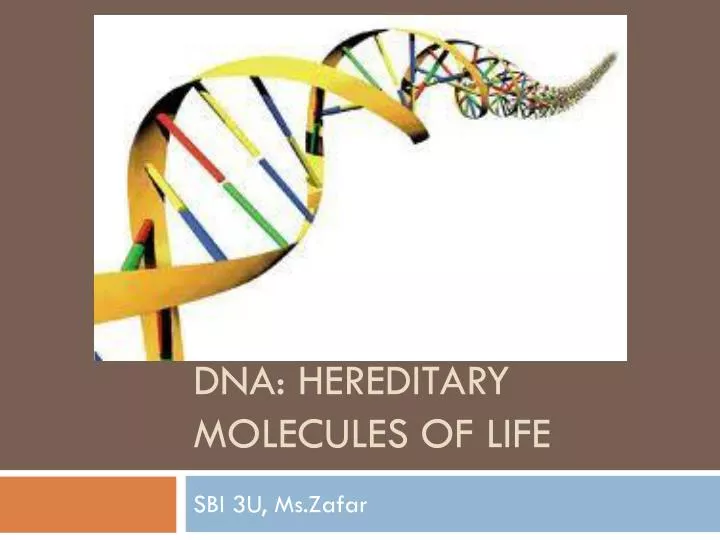 dna hereditary molecules of life