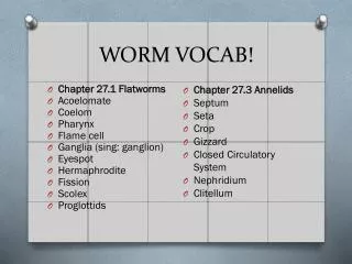 WORM VOCAB!