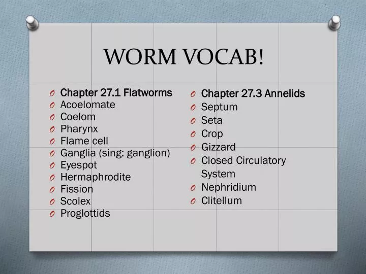 worm vocab