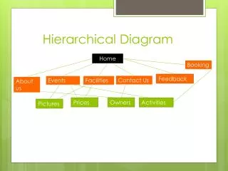 Hierarchical Diagram