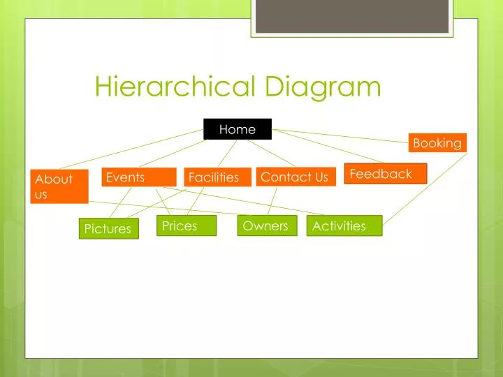 hierarchical diagram