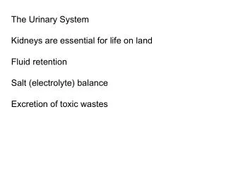 The Urinary System Kidneys are essential for life on land Fluid retention