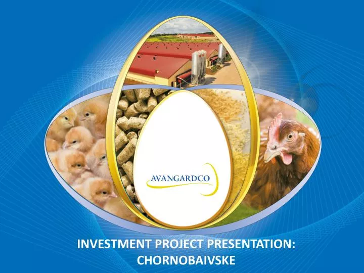 investment project presentation chornobaivske