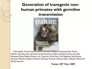 Generation of transgenic non- human primates with germline transmission