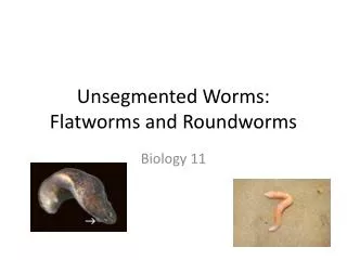 Unsegmented Worms: Flatworms and Roundworms