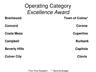 Operating Category Excellence Award