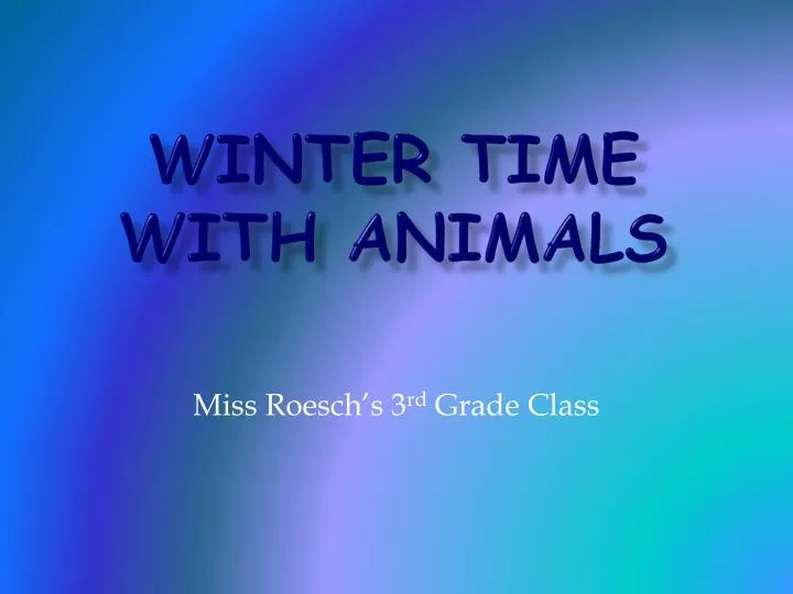 winter time with animals