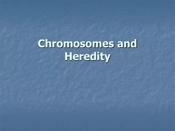chromosomes and heredity