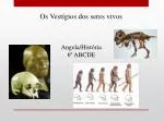 Os Vestígios dos seres vivos Angela /História 6º ABCDE - slide 1