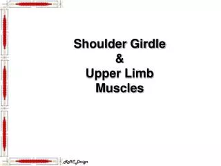 Shoulder Girdle &amp; Upper Limb Muscles