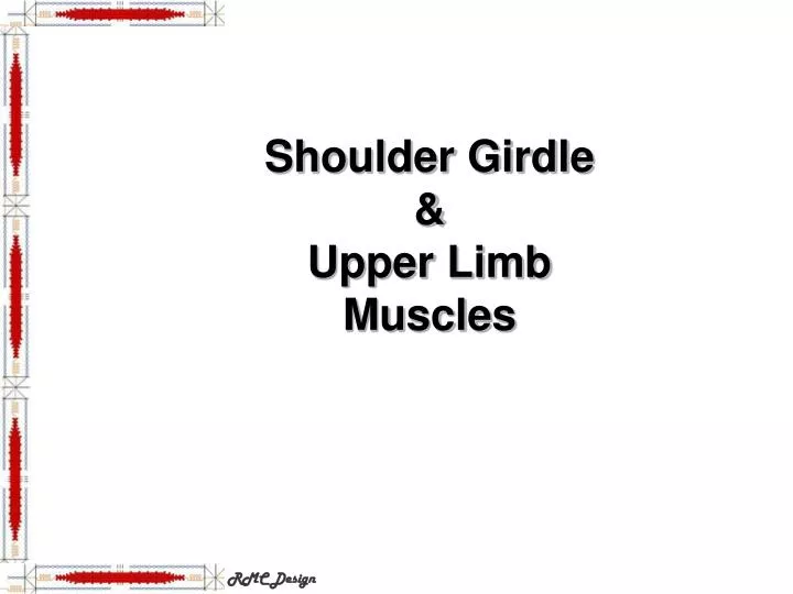shoulder girdle upper limb muscles