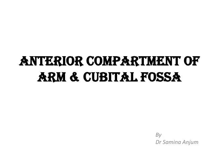 anterior compartment of arm cubital fossa