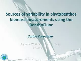 Sources of variability in phytobenthos biomass measurements using the BenthoFluor
