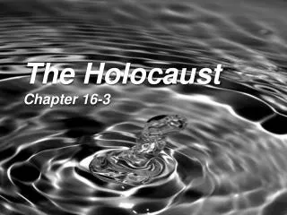 The Holocaust Chapter 16-3