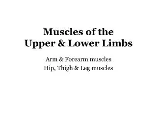 Muscles of the Upper &amp; Lower Limbs