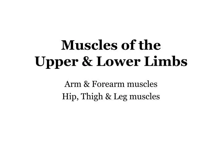 muscles of the upper lower limbs