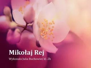 miko aj rej