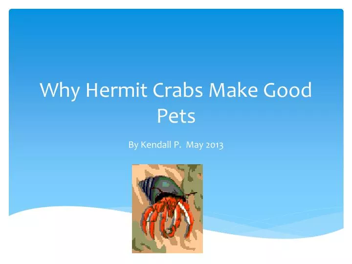 why hermit crabs make good pets