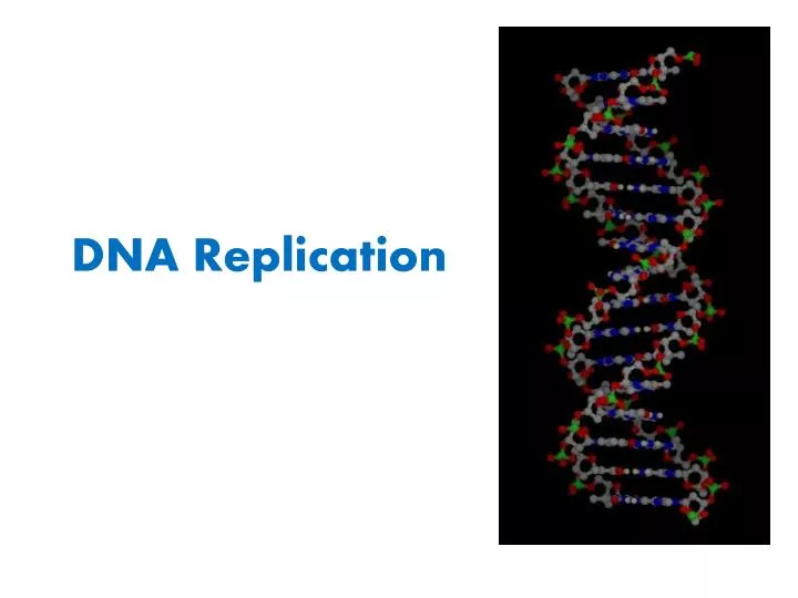 dna replication