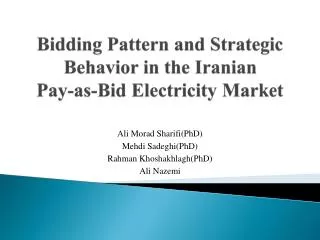 Bidding Pattern and Strategic Behavior in the Iranian Pay-as-Bid Electricity Market