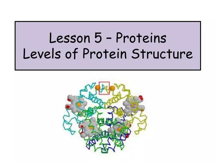 lesson 5 proteins levels of protein structure