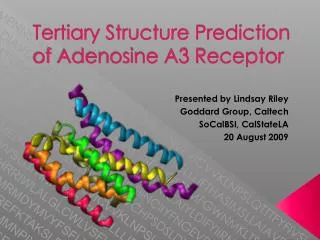 Tertiary Structure Prediction of Adenosine A3 Receptor