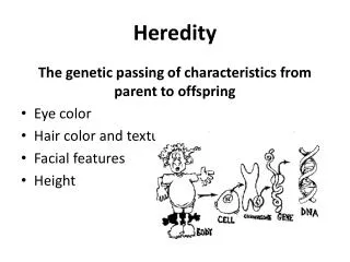 Heredity