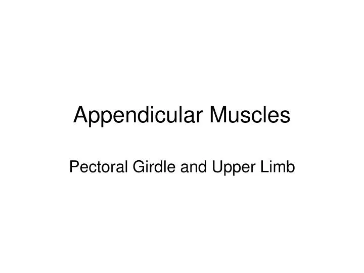 appendicular muscles