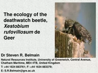 The ecology of the deathwatch beetle, Xestobium rufovillosum de Geer