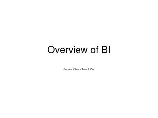 overview of bi