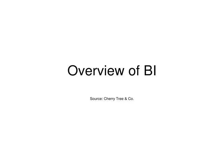 overview of bi
