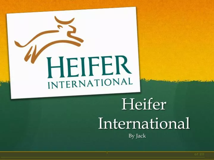 heifer international