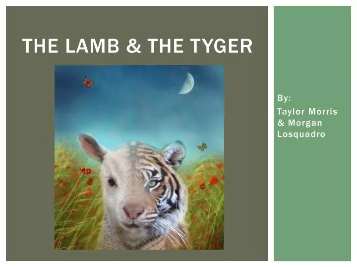 the lamb the tyger