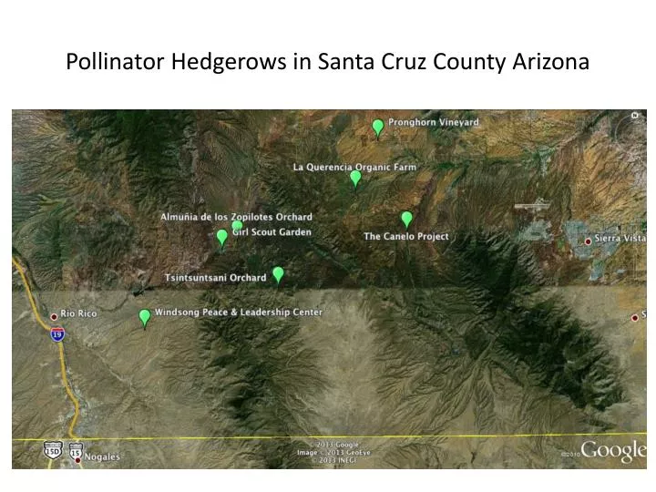 pollinator hedgerows in santa cruz county arizona