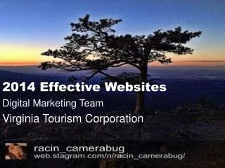 2014 Effective Websites Digital Marketing Team Virginia Tourism Corporation