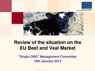 Review of the situation on the EU Beef and Veal Market