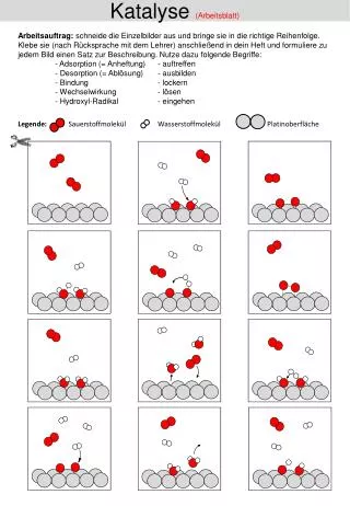 Katalyse (Arbeitsblatt)