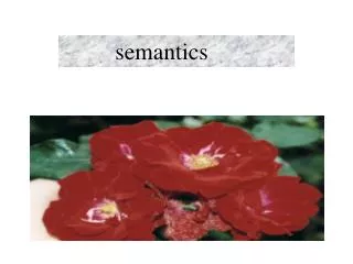 semantics