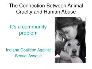 The Connection Between Animal Cruelty and Human Abuse
