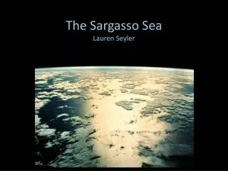 The Sargasso Sea Lauren Seyler