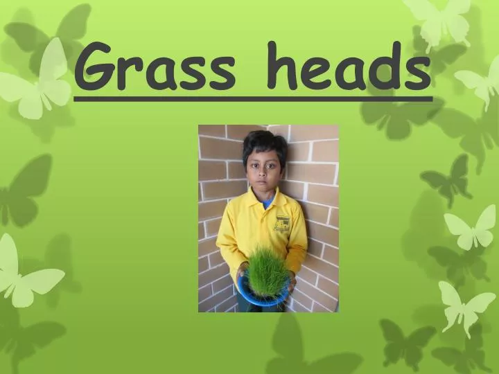 grass heads